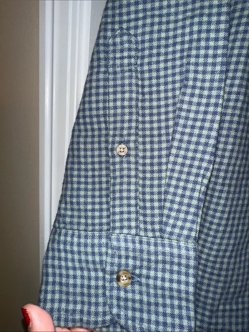 J. Crew Men's Blue and Green Mini Gingham Button-Down Shirt